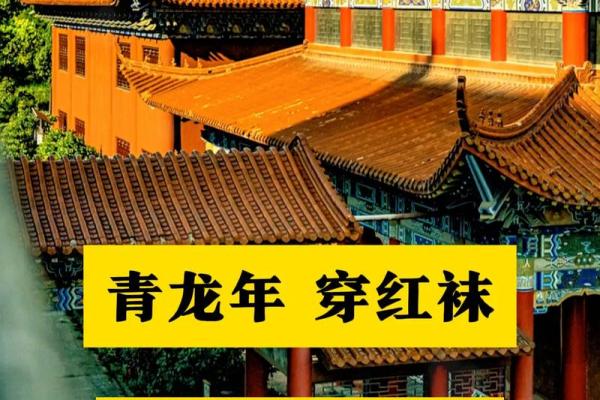00后属龙的今年多大了_00后属龙的今年多大了是25吗