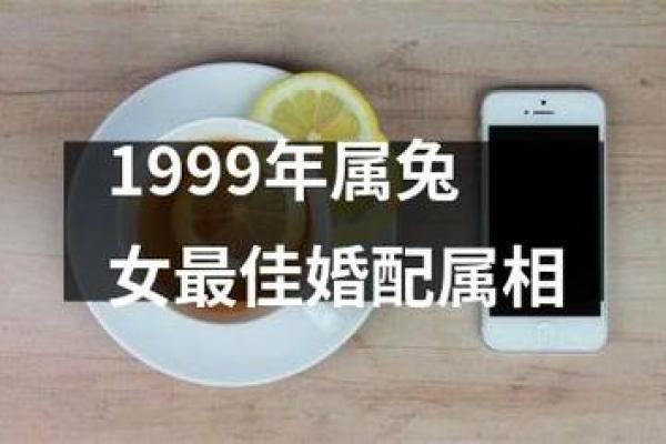 1999年属兔最佳添子女时机解析 1999年属兔最佳添子女时机解析