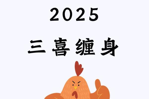 2025年属鸡幸运颜色揭秘93年出生必看 2025年属鸡幸运颜色揭秘93年出生必看