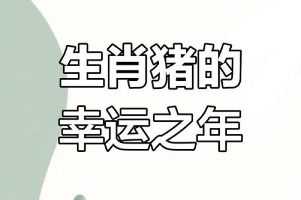 83年的猪在2025年的运势怎么样_2025年83年属猪人运势详解财运事业感情全解析 83年的猪在2025年的运势怎么样_2025年83年属猪人运势详解财运事业感情全解析