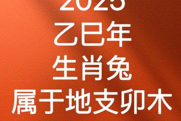 属兔人2025全年运势 2025年属兔人全年运势详解事业财运爱情全解析