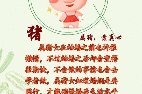 属龙和属猪的婚姻相配吗_属龙和属猪的婚姻相配吗