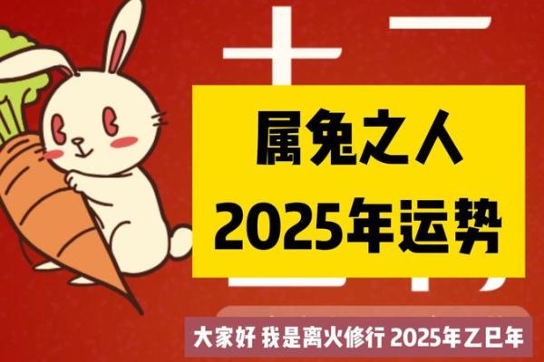 属兔2025年结婚吉日 2025年属兔结婚吉日大全最佳婚期推荐与择日攻略
