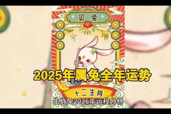 2025年属兔的运程 2025年属兔运程详解运势大揭秘与提升指南