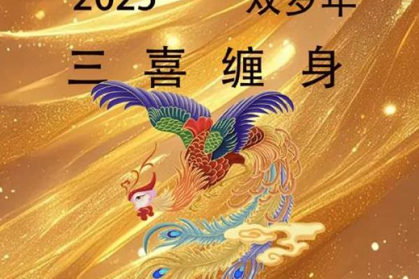 1969年属鸡2025年运势完整版 1969年鸡未来运势