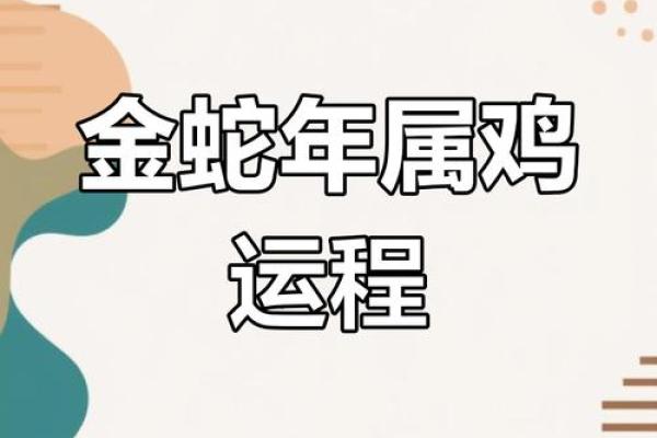 属鸡人蛇年运势2025_2025年1981属鸡的运势及运程