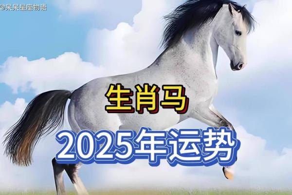 属马的2025穿什么颜色好_2025年属马穿什么颜色好幸运色穿搭助运指南 属马的2025穿什么颜色好_2025年属马穿什么颜色好幸运色穿搭助运指南