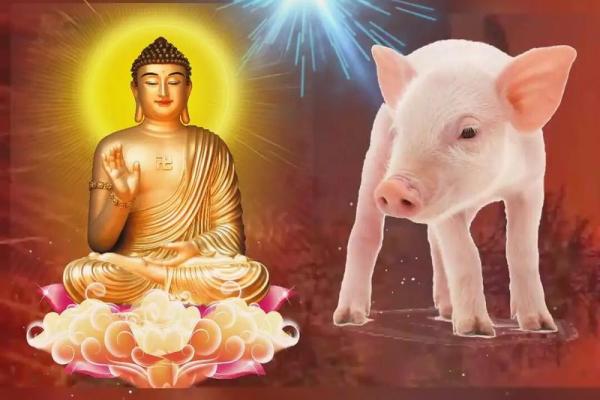 83年属猪多大_83年属猪今年多大2023年属猪人年龄详解 83年属猪多大_83年属猪今年多大2023年属猪人年龄详解