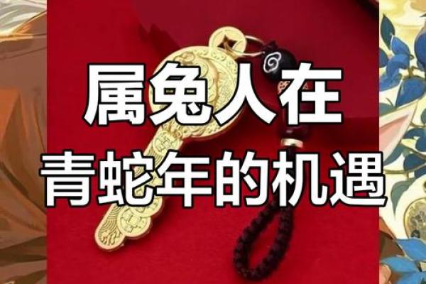 2025年属兔的运势和财运1987年 属兔2025年运势及运程1987年的兔 2025年属兔的运势和财运1987年 属兔2025年运势及运程1987年的兔