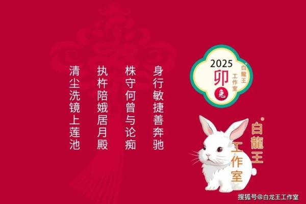 2025年属兔的运势和财运1987年 属兔2025年运势及运程1987年的兔 2025年属兔的运势和财运1987年 属兔2025年运势及运程1987年的兔
