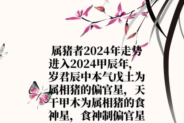 属猪人2024年全年运势及运程_2025年属猪人每月运势 属猪人2024年全年运势及运程_2025年属猪人每月运势