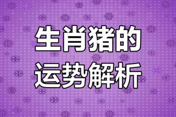 属猪的2025年_属猪的2025年幸运色是什么颜色 属猪的2025年_属猪的2025年幸运色是什么颜色