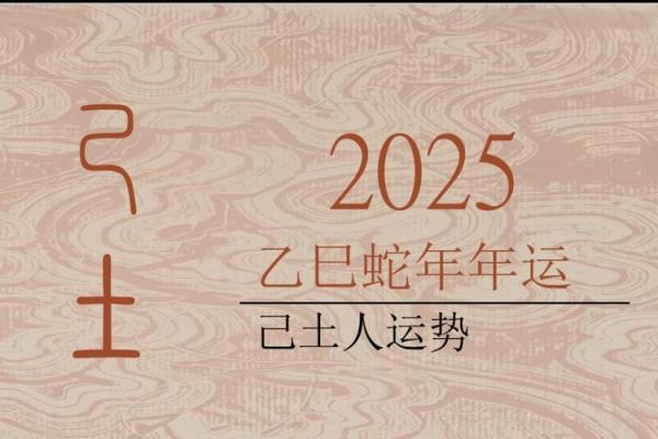 兔年运势2025年运程 2025兔年运势详解全年运程预测与开运指南