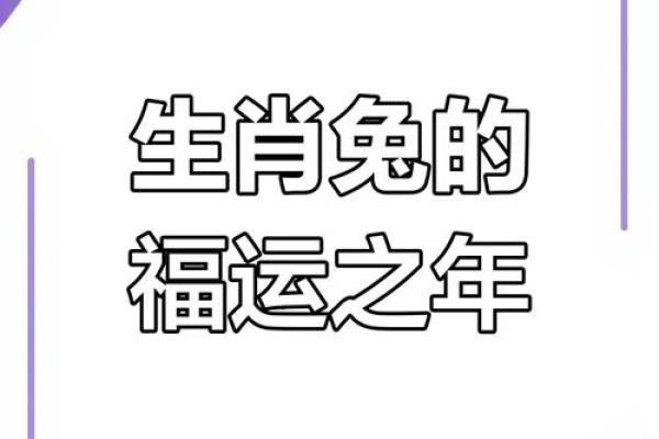 2025年属兔人的全年运势详解 2025年属兔人全年运势详解财运事业感情全解析