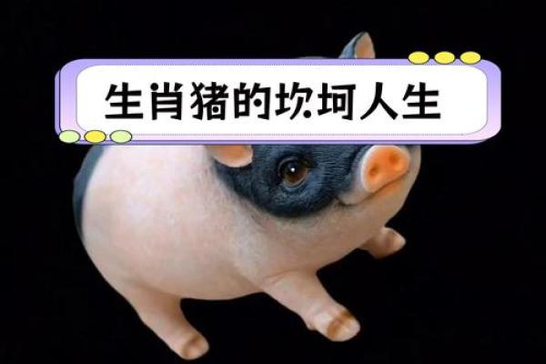 83年属猪人2025年幸运色_83年属猪25年运势 83年属猪人2025年幸运色_83年属猪25年运势