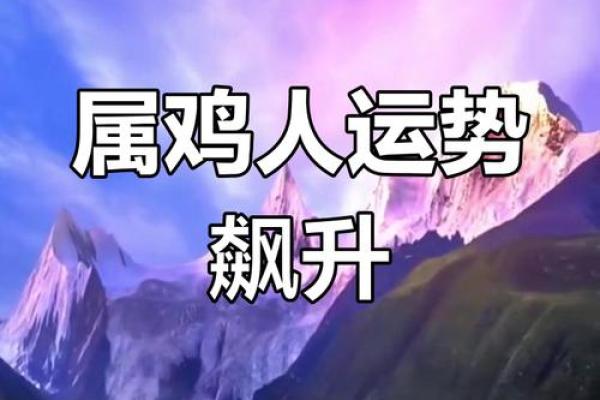 81年属鸡人今日财运解析财运走势与提升秘诀