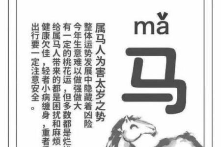 属马白羊女明天运势(2021年属马白羊女)