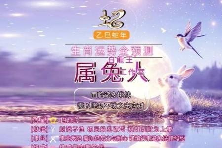 今年属兔的运势怎么样2025 2021年属兔的人今年的运势怎么样啊