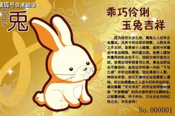 2025年属兔人运势解析财运与运气全揭秘 2025年属兔人运势解析财运与运气全揭秘