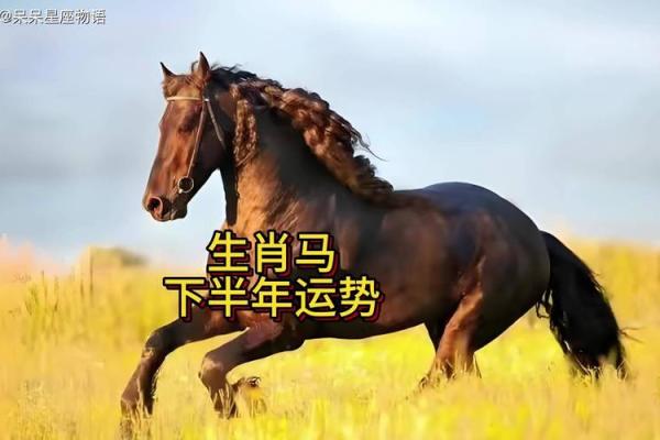 属马人2024年全年运势_属马人2024年全年运势运程 属马人2024年全年运势_属马人2024年全年运势运程