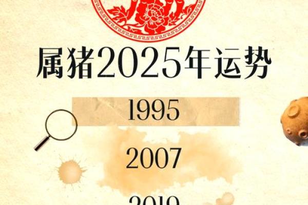 2025年属猪人的命运_2025年属猪人命运解析运势财运与事业全揭秘