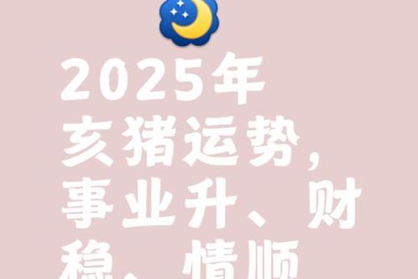 2025年属猪的人的全年运势_2025年属猪人全年运势详解财运事业感情全面解析