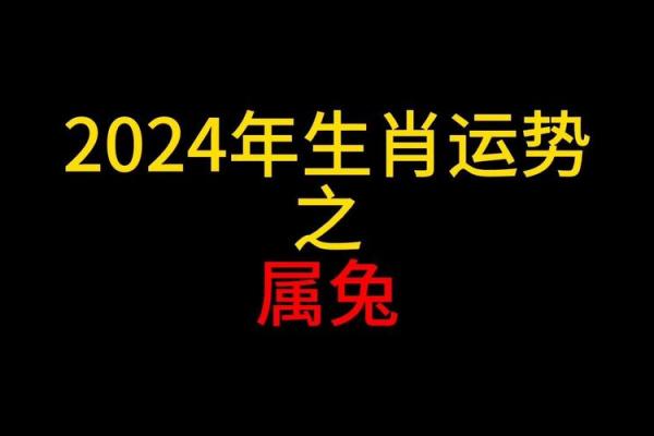 2025年属兔幸运色揭秘助你运势飙升的绝佳选择 2025年属兔幸运色揭秘助你运势飙升的绝佳选择