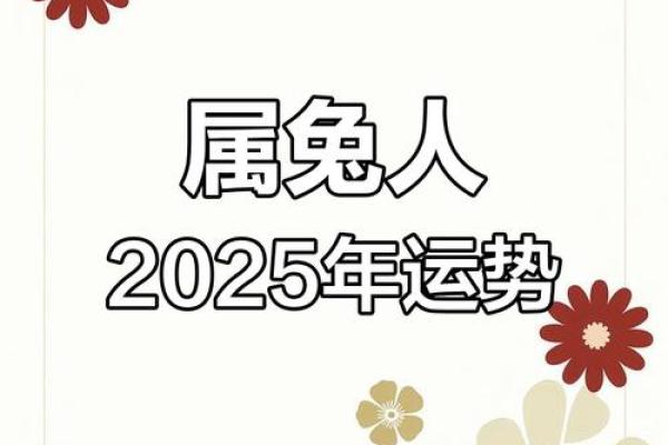 2025年属兔人全年运势1987 2025年属兔人全年运势解析1987年出生者必看