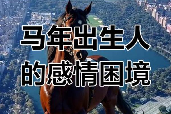 属马2025贵人是谁 属马的情劫是谁