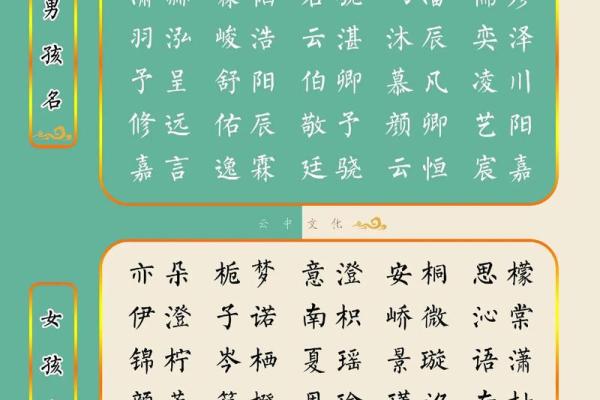 属兔今年多大年纪 2023年属兔人年龄查询今年你多大 属兔今年多大年纪 2023年属兔人年龄查询今年你多大
