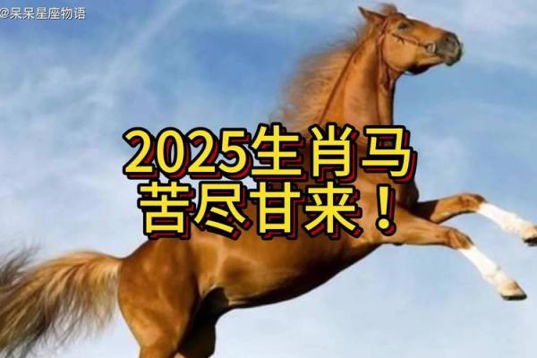 2025年属马女的贵人 2025年属马女的贵人属相