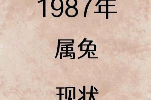 1987年兔2025年运势 1987年兔2025年运势怎么样 1987年兔2025年运势 1987年兔2025年运势怎么样