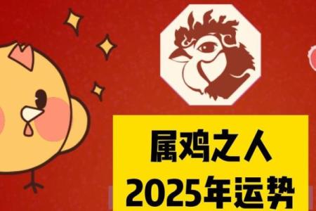 属鸡运势2025年运程 2025年属鸡运势详解全年运程大揭秘