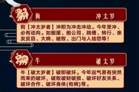 2000年属龙多大_2000年属龙者2023年10月年龄解析周岁计算与月份对照