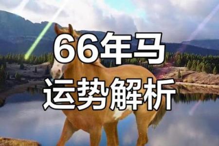 1966年属马的今年多大了_66年属马59岁2025劫难