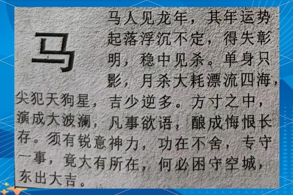 1990属马人2025年逐月运势全解析每月运程精准预测
