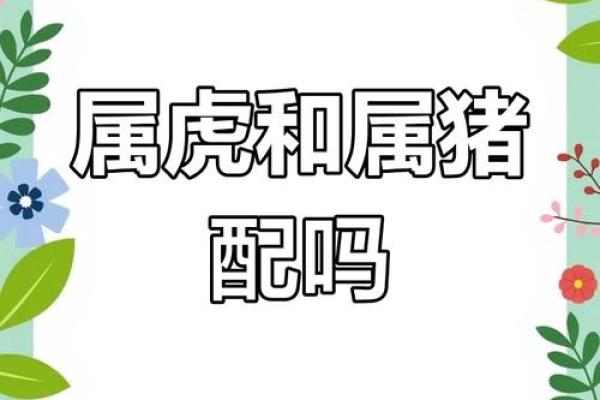 属猪和属虎的姻缘解析配对指数与婚姻运势 属猪和属虎的姻缘解析配对指数与婚姻运势