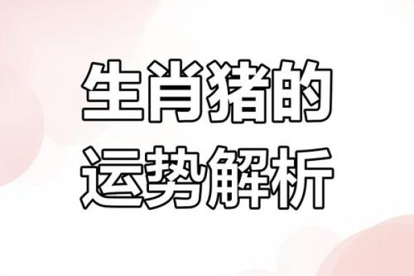 71年属猪2025年运势及年龄解析54岁如何转运 71年属猪2025年运势及年龄解析54岁如何转运