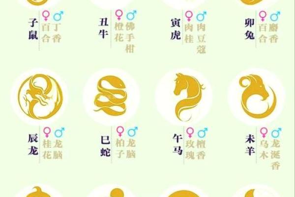 十二生肖属鸡的年份表_十二生肖属鸡年份表完整年份查询与运势解析 十二生肖属鸡的年份表_十二生肖属鸡年份表完整年份查询与运势解析