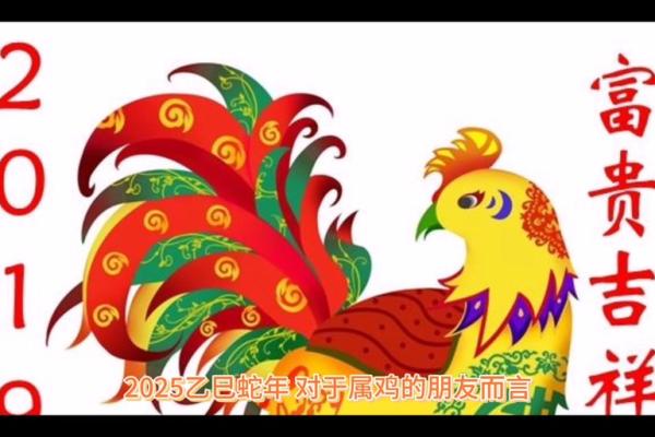 2025是属鸡人发财时期吗_属鸡不能穿什么颜色 2025是属鸡人发财时期吗_属鸡不能穿什么颜色