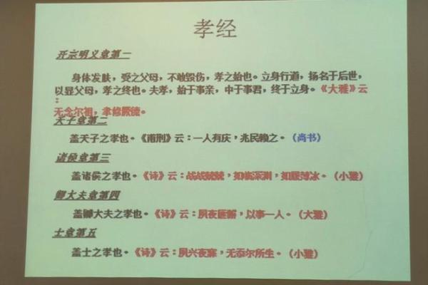 露水姻缘是什么意思揭秘短暂爱情的深层含义