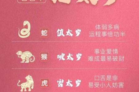 2025年属猪的人今年多大年龄计算与运势解析