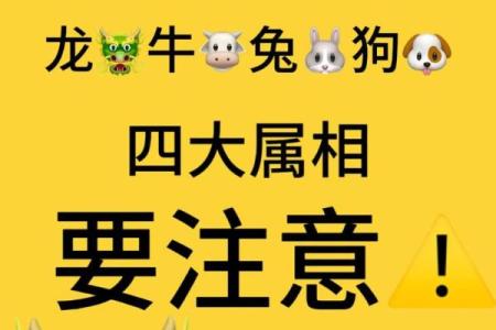 88年属龙人2025年的运势及运程_88年属龙人2025年的运势及运程9 月8 日