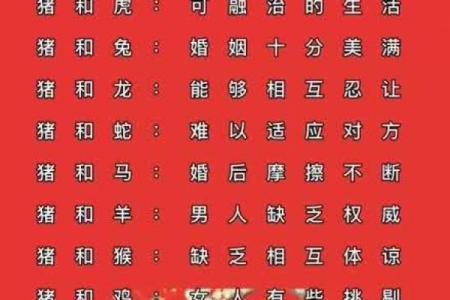 属猪男和属猪女的适合做夫妻吗_属猪男和属猪女适合做夫妻吗生肖配对解析