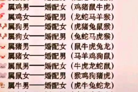 2002年属马的男孩最佳婚配_02属马的婚配大忌