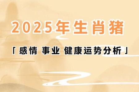 1995年属猪人2025年运势 1995年属猪人2025年运势详解财运事业感情全解析