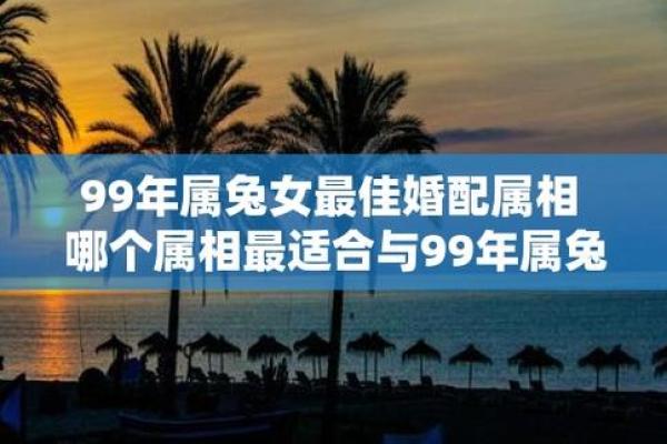 1999年属兔24岁姻缘女_1999年属兔24岁姻缘女2023年爱情运势解析