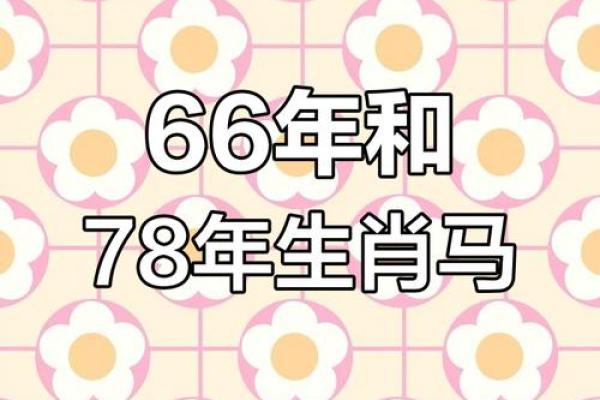 1966年属马人的命运如何_1966年属马的命相 1966年属马人的命运如何_1966年属马的命相