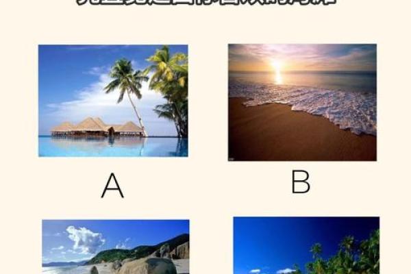 测姻缘八字 测姻缘八字揭秘命中注定的爱情密码