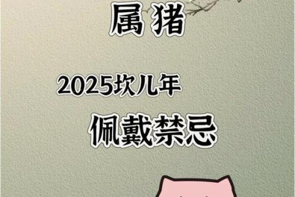 2025年属猪年龄 2025年属猪人年龄详解及运势分析